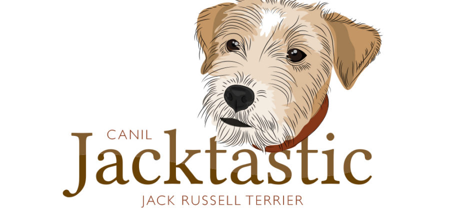 Canil Jacktastic