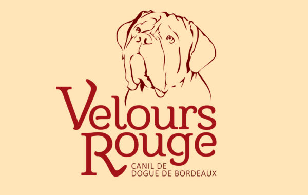 Canil Velours Rouge