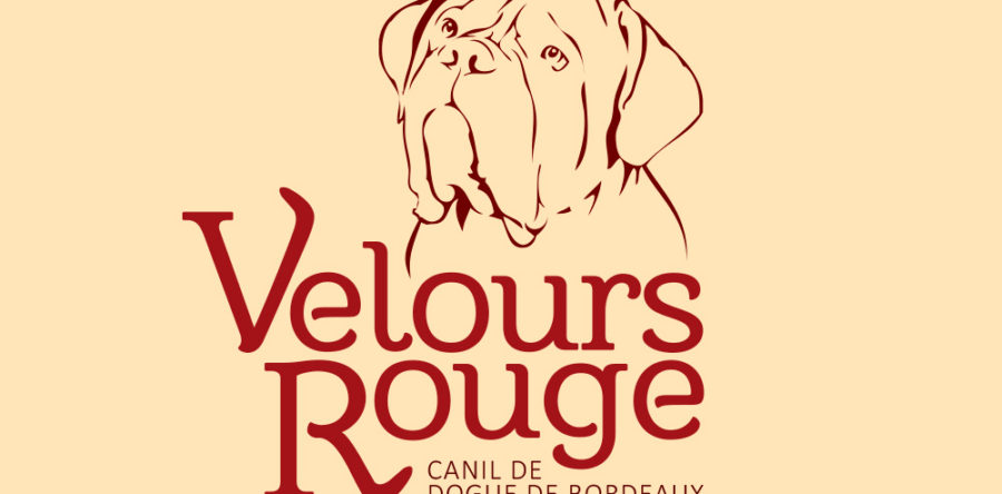 Canil Velours Rouge